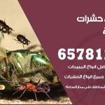 شركات مكافحة حشرات الخالدية / 50050641 / افضل شركة مكافحة حشرات وقوارض