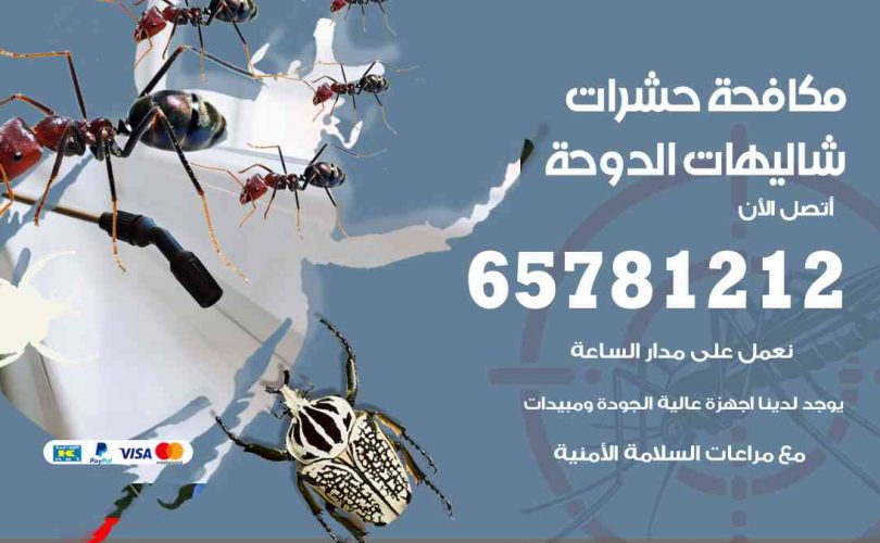 شركات مكافحة حشرات شاليهات الدوحة