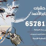 شركات مكافحة حشرات مدينة جابر الأحمد / 50050641 / افضل شركة مكافحة حشرات وقوارض