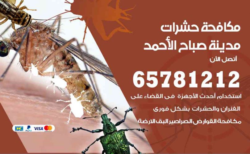 شركات مكافحة حشرات مدينة صباح الأحمد