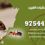 مكافحة حشرات وقوارض القرين / 50050647 / شركة رش حشرات خصم 50%