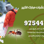 مكافحة حشرات وقوارض مبارك الكبير / 50050647 / شركة رش حشرات خصم 50%